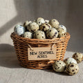 Quail Eggs (18 Count)