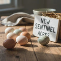 Small Chicken Eggs